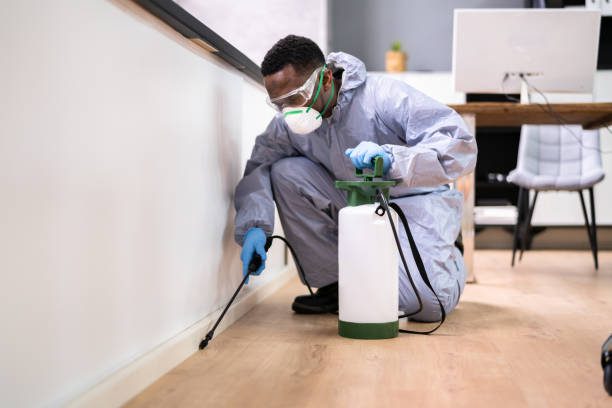 Emergency Pest Control Services in Urbana, IL